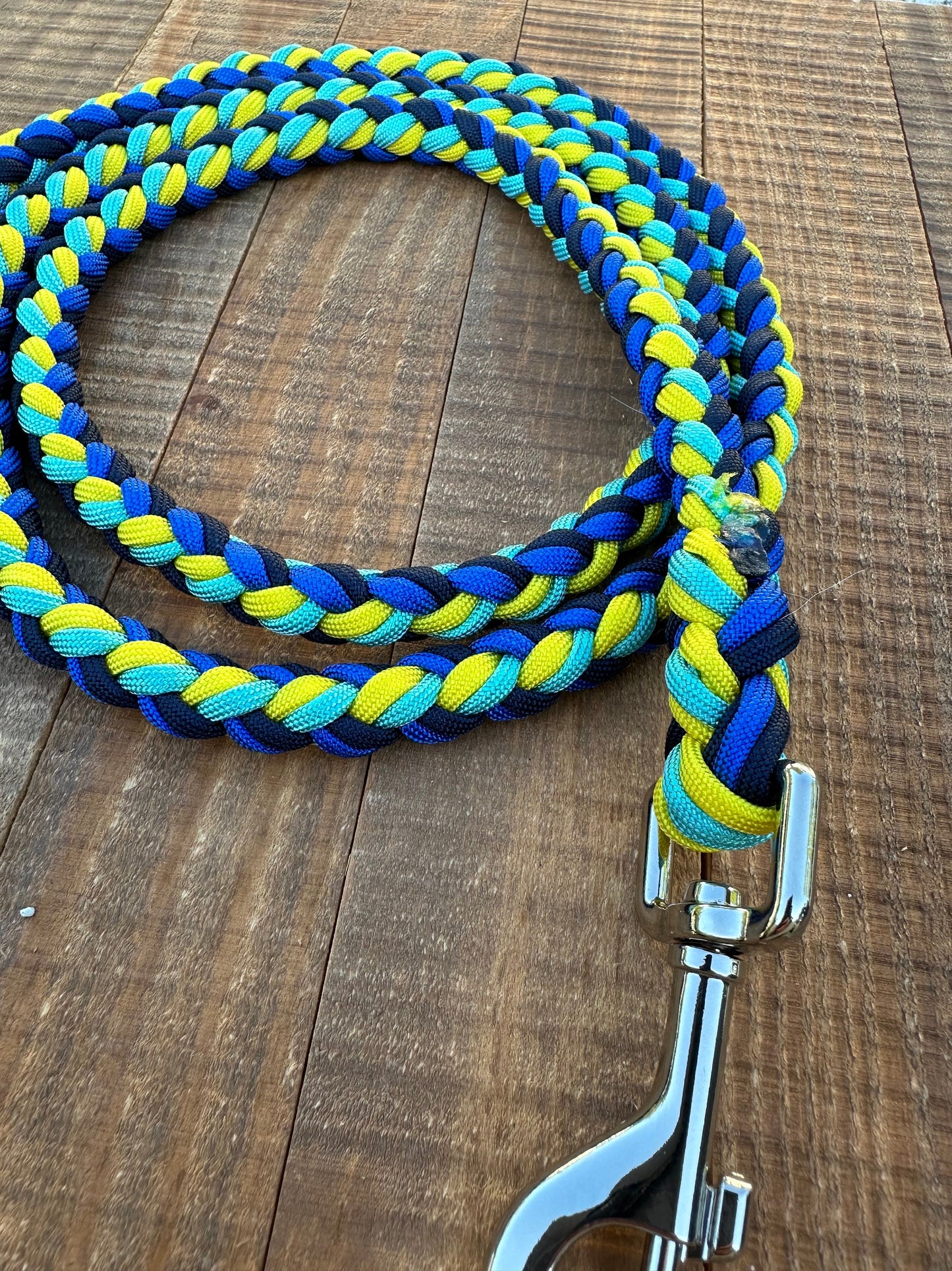 Life with Reef Foundation Special Edition paracord dog leash