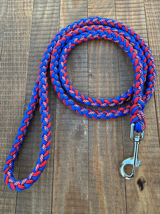 American paracord dog leash