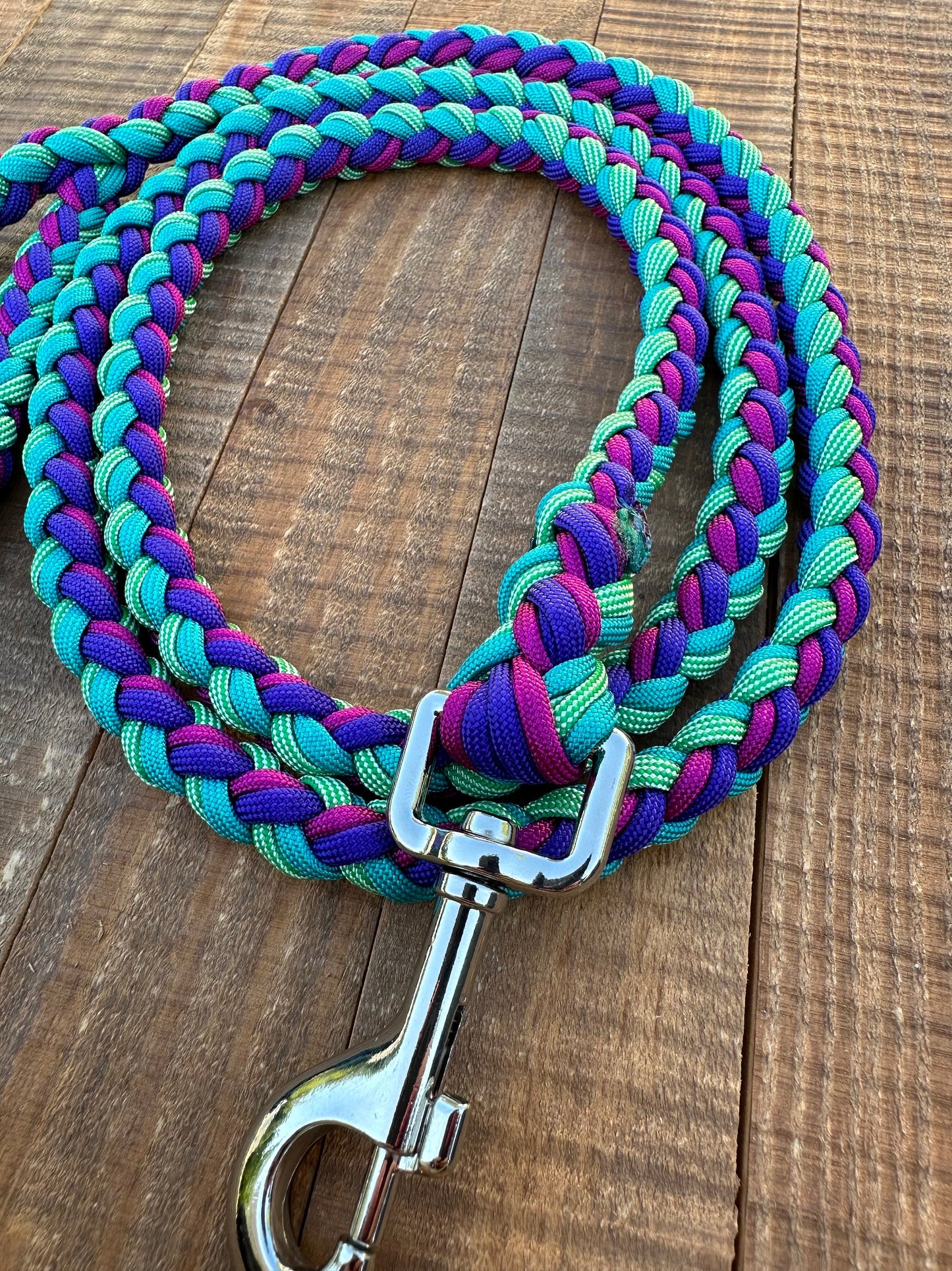 Part of your World Paracord Dog Leash, 5 ft dog leash