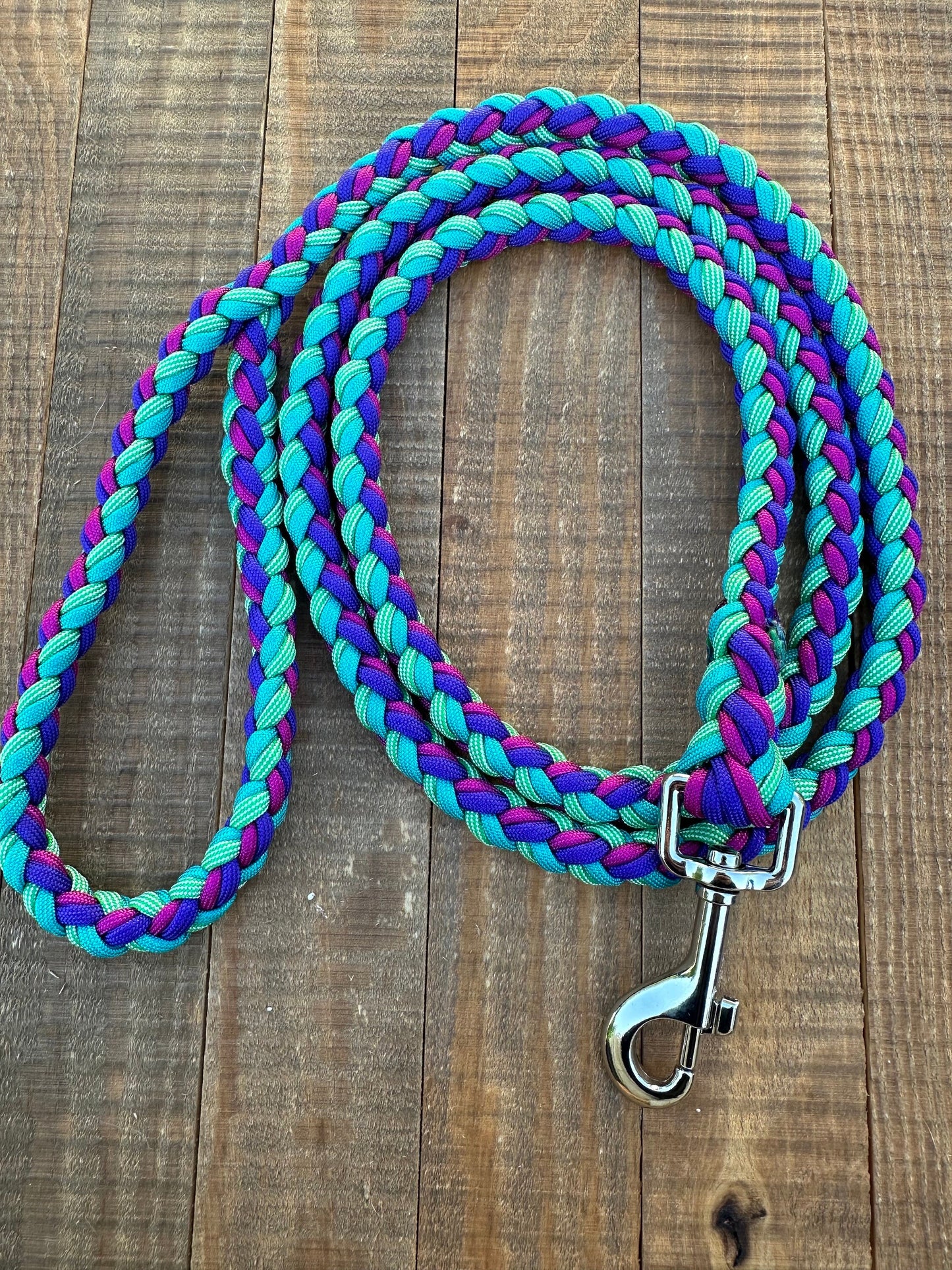 Part of your World Paracord Dog Leash, 5 ft dog leash